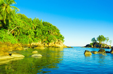 Jungle Palms Shore