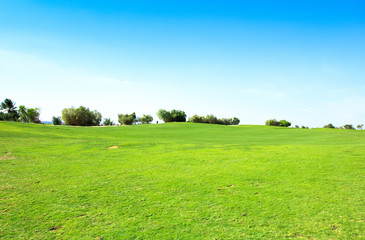 Golf Club Landscape