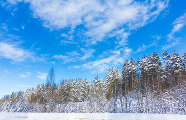 Winter Landscape with snow