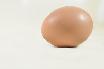 The Egg