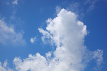 Obraz premium 青空と白い雲