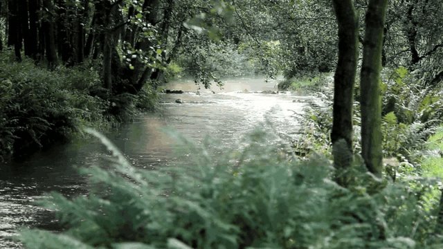 fr&uuml;hmorgens an der Luhe