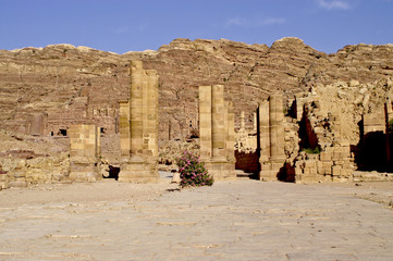 Fototapeta na wymiar Kolumnadą ulicy w starożytnego miasta Petra.