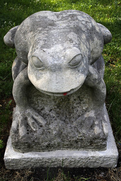 Steinfrosch in M&uuml;hlhausen