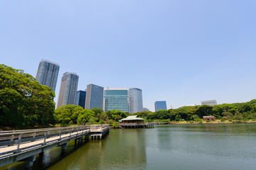Naklejka premium Hamarikyu Gardens in Tokyo, Japan