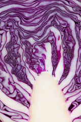 Obraz premium Purple cabbage