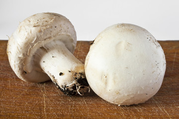 champignon mushroom