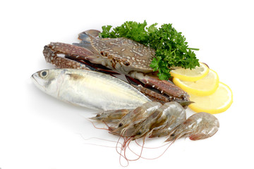 Variety of Fresh Sea Food