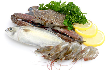 Variety of Fresh Sea Food