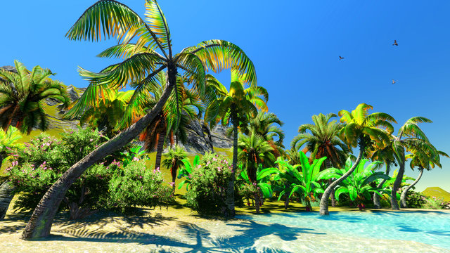 Hawaiian paradise
