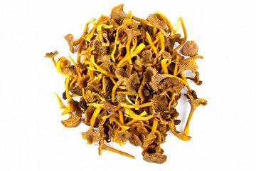 Obraz premium Funnel Chanterelle