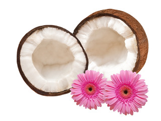 coconut isolated on white background