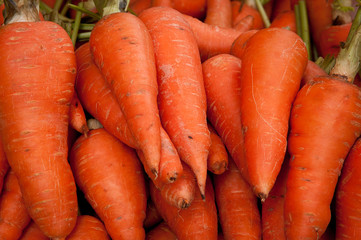 Carrots