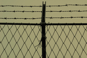 Barb wire and fence