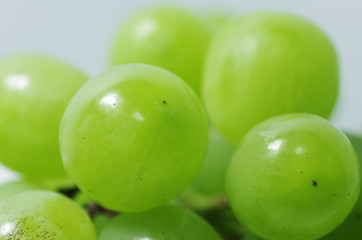 葡萄の粒