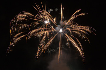 Palm Style Fireworks Illuminate The Sky