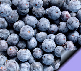 Fresh Blueberries On Recipe Page