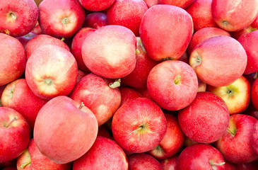 Fresh Gala apples on display