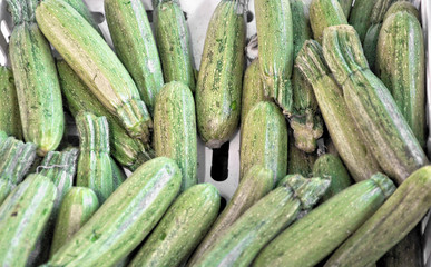 Courgettes zucchini
