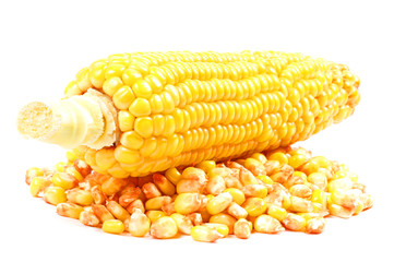 Maiskolben und Maiskörner