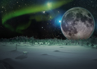 lonely polar bear in fantasy winter with big moon