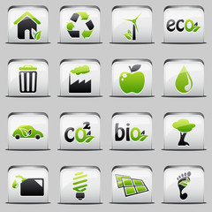 button White_green Ecology