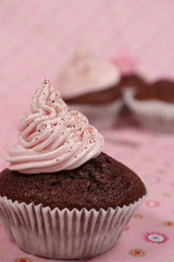 Delicious cupcakes