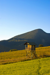 Watch tower on the meadow