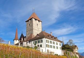 Fototapeta premium Spiez castle