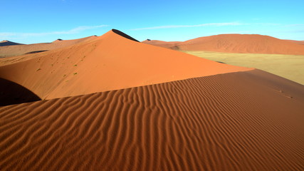 Fototapeta na wymiar Dunes of Namib Desert.