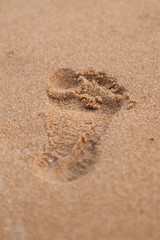 Fototapeta na wymiar Footprint on beach sand
