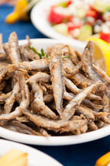 Fried Bulgarian Sprats