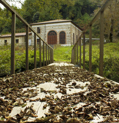 ponte di foglie autunno campagna