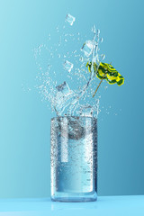 Tall Glass of Water Splash