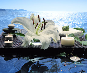 sea spa