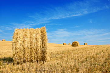 Fototapeta na wymiar harvested field with straw bales