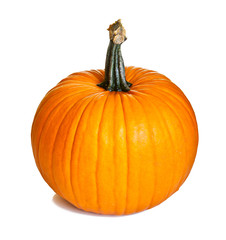 Ripe pumpkin fruits isolated on white