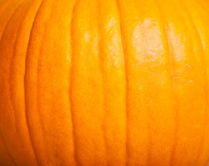 Ripe pumpkin fruits isolated on white