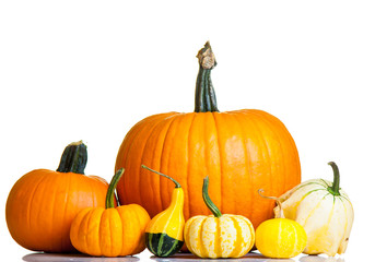 Ripe pumpkin fruits isolated on white