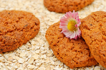 still life with oatmeal cookies
