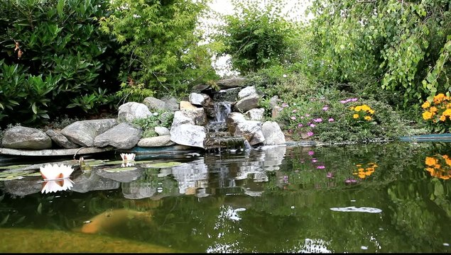 petite source et bassin aquatique de jardin