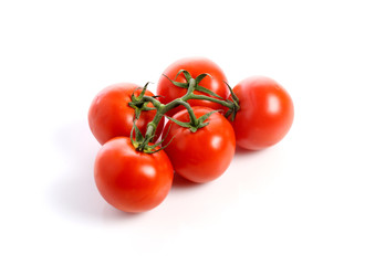 The branch of tomato. Isolated on white.