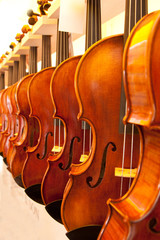 Display of violins