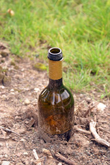 Alte Flasche