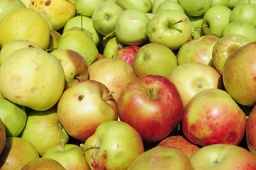 Äpfel