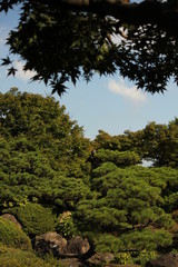 日本庭園