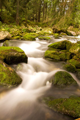 lovely and magical water stream