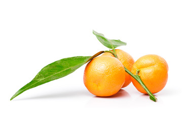 tangerines isolated on white