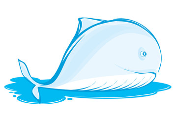 whale