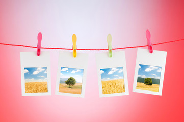 Picture frames with nature photos